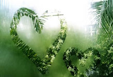 天涯社区神贴，那些在网络上疯传的神奇故事！