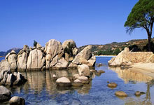 天涯炒股神贴：炒股秘籍大公开！